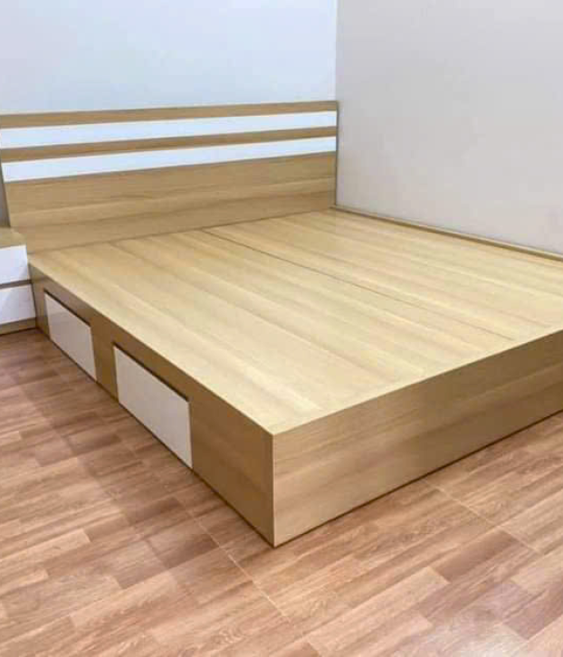 Giường Nhựa Vincoplast Mẫu 003
